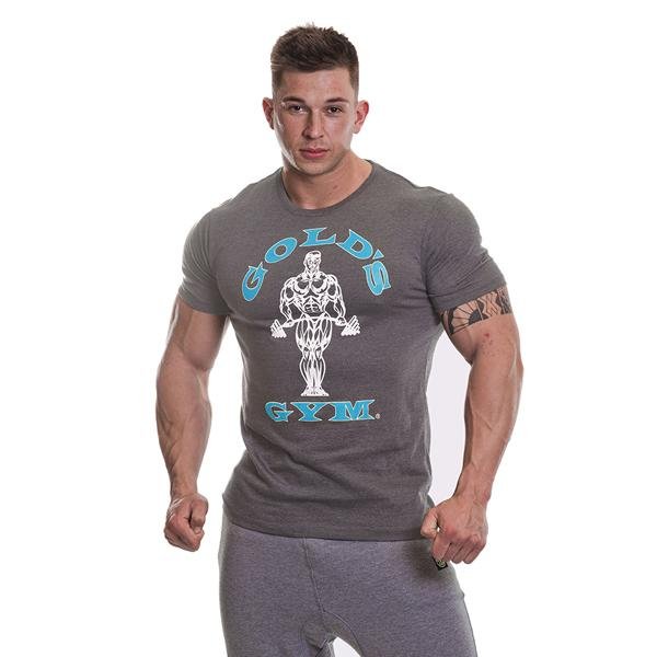 Gray Tshirts for Mens in Pakistan with Blue and White Logo